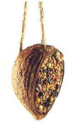 Coconut Shell 1 Manufacturer Supplier Wholesale Exporter Importer Buyer Trader Retailer in Kanpur Uttar Pradesh India